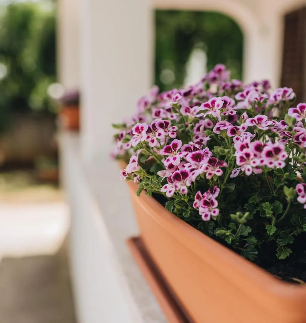 App Ana Apartment Porec